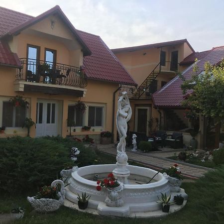 Pensiunea Darius Costinesti Exterior photo