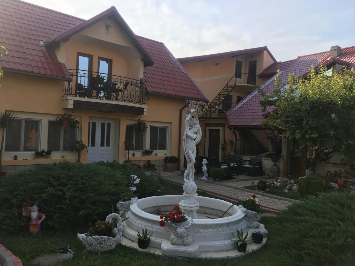 Pensiunea Darius Costinesti Exterior photo